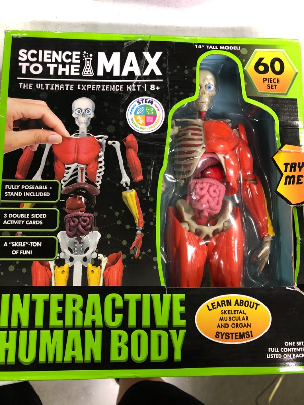 Photo 1 of Be Amazing! Toys Interactive Human Body - 60 Piece Fully Poseable Anatomy Figure – 14” Tall Model - Anatomy Kit – Removable Muscles, Organs,Bones STEM Toy – Ages 8+