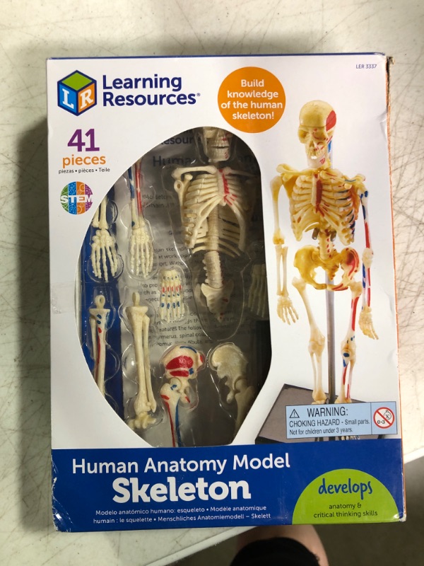 Photo 2 of Learning Resources Skeleton Model, Miniature Model, Easy to Manipulate, 41-Piece Model, Ages 8+ Multi-color, 9.2 inches tall