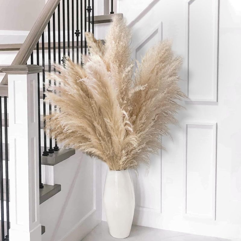 Photo 1 of ***THE MEASUREMENTS ARE UNKNOWN
product similar to the original photo*** 15pcs Pampas Grass for Floor Vase - Tall Pampas Grass Tall - Dried Pampas Grass Decor - Natural Beige Dried Pampas Grass Decor Tall - Pompas Floral Grass - Boho Decor - Dried Flower 