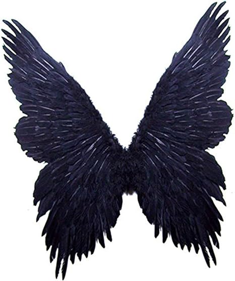 Photo 1 of  (TM Super Large Feather Butterfly Fairy Angel Wings 2 color Black or White