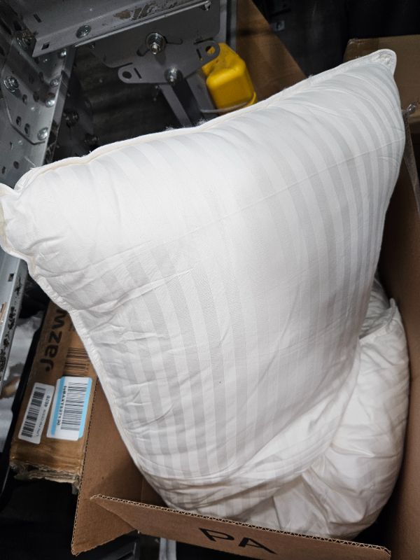 Photo 1 of 2pk white pillows