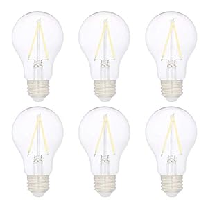 Photo 1 of Basics A19 Clear Glass Filament Edison Decorative LED Light Bulb