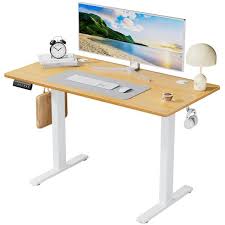 Photo 1 of DAMAGED TABLE CORNERS 48 in. Rectangular Oak Electric Standing Computer Desk with Whole-Piece Desktop Board Height Adjustable