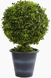 Photo 1 of 23 in. Artificial Boxwood Ball Topiary
