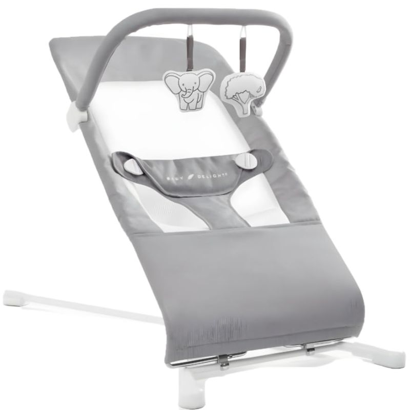 Photo 1 of Baby Delight Alpine Wave Deluxe Portable Bouncer | Automated Motion Baby Bouncer | Infants 0 – 6 Months | Driftwood Grey Deluxe, Driftwood Grey