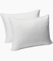 Photo 1 of 2 pack of mini pillows white