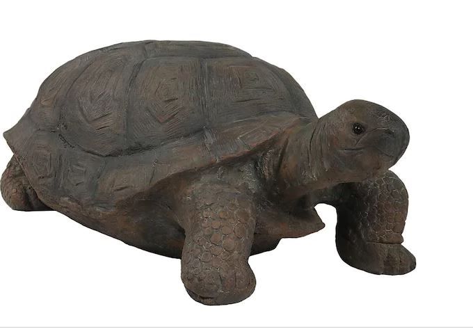 Photo 1 of 30 in. Todd the Tortoise Indoor-Outdoor Lawn and Garden Statue
