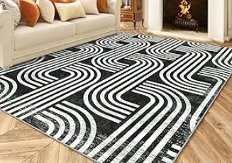 Photo 1 of ***SEE NOTES***  Soft 5' x 7' Area Rug, Anti Slip, Washable, Pet Friendly, Faux Cashmere Modern Carpet for Living Room Bedroom, Black
