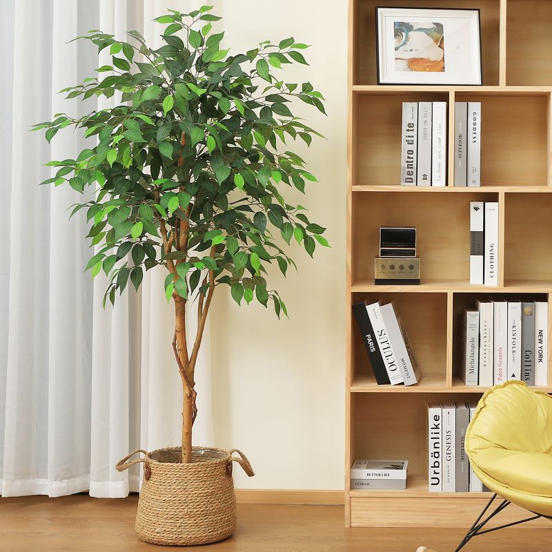 Photo 1 of 5FT Artificial Ficus Tree with Wood Trunk for Living Room, Plant in Black Plastic Pot. DR.Planzen