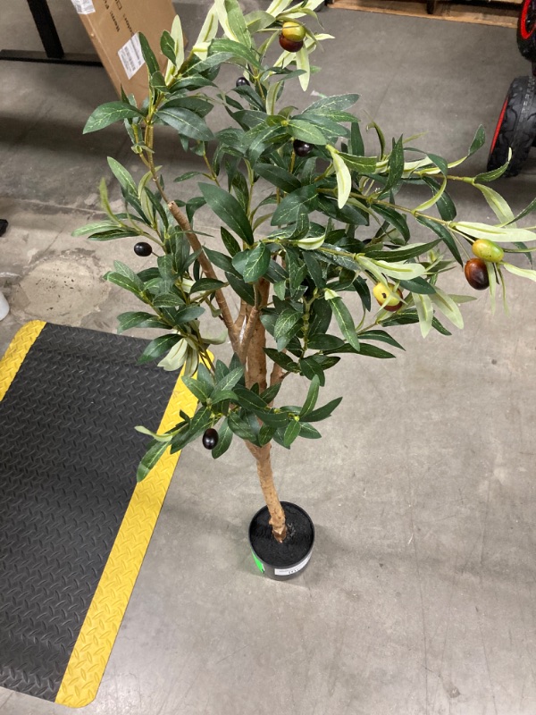Photo 1 of 6 ft Artificial Olive Plants with Realistic Leaves and Natural Trunk, Silk Fake Potted Tree with Wood Branches and Fruits, Faux Olive Tree for Office Home Decor
