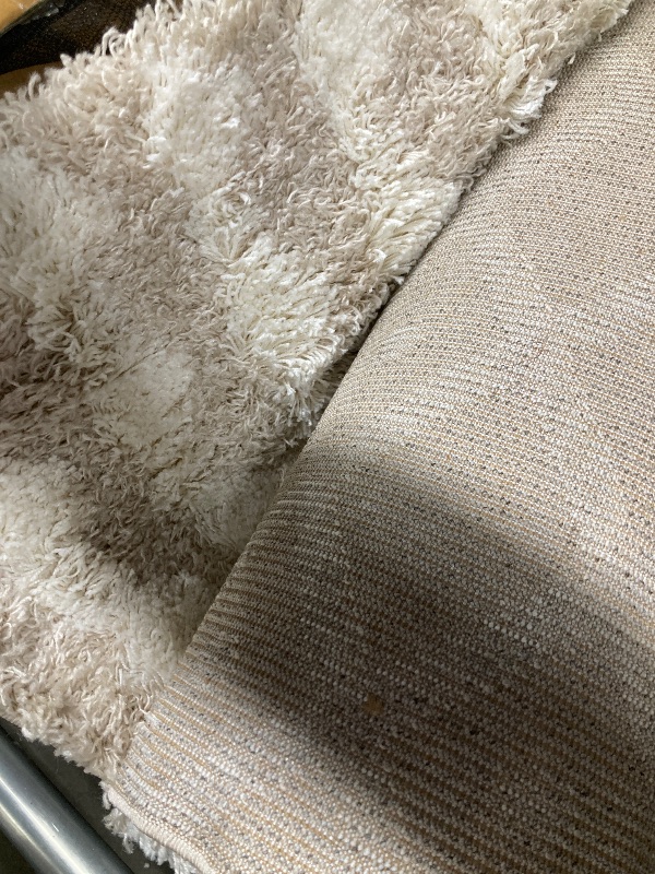 Photo 1 of 12 X 15 Ft. Urban Shag Machine Woven Rectangle Rug - Cream & Beige
