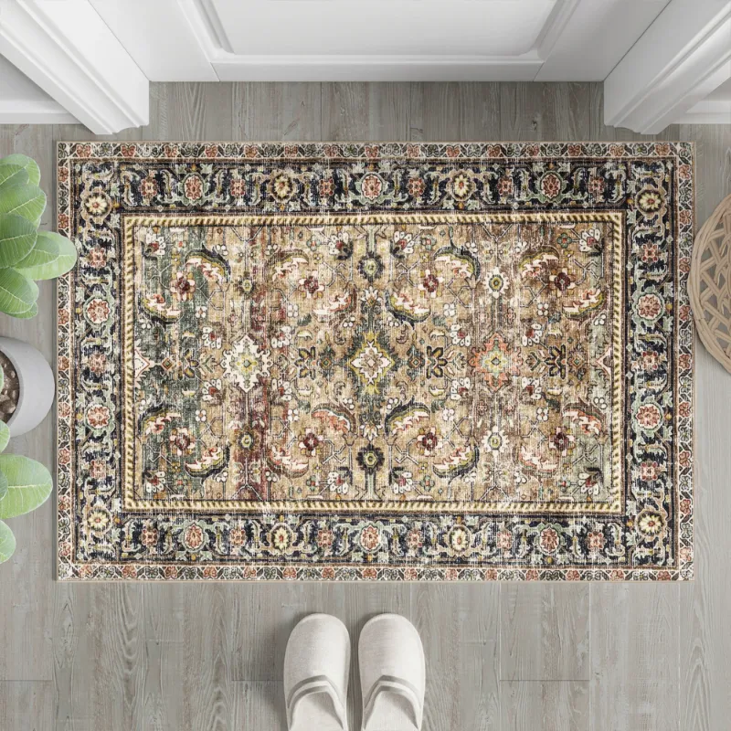 Photo 1 of BERTHMEER 2'x3' Small Brown Area Rugs for Bathroom Bedroom Entryway Kitchen Dorm Entrance Vintage Non Slip Washable Oriental Traditional Distressed Rugs
