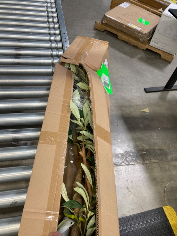 Photo 1 of 6FT Artificial Olive Tree with Fruits and Wood Branches, Plant in Black Plastic Pot. DR.Planzen

**NEW, FACTORY SEALED.