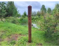 Photo 1 of 6 ft Round Blank Wood Fence Post (6 Count)