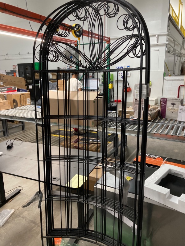 Photo 1 of 80 in. Black Steel Scroll Curved Trellis
