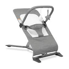 Photo 1 of Baby Delight Alpine Deluxe Portable Bouncer | Infant | 0 – 6 months | Charcoal Tweed