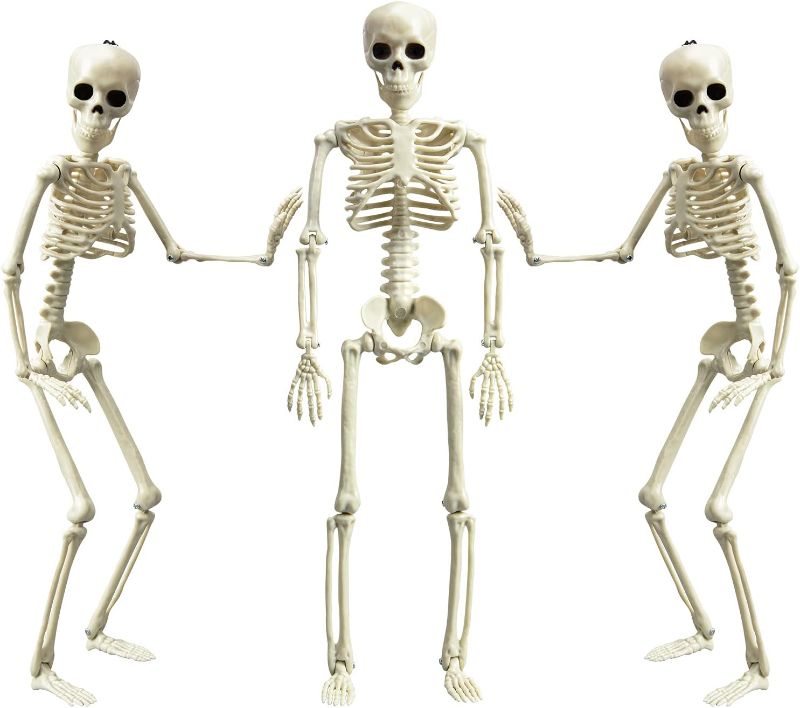 Photo 1 of 19” Posable Halloween Skeleton- Full Body Halloween Skeleton with Movable Joints for Haunted House Props Decorations (3pcs)