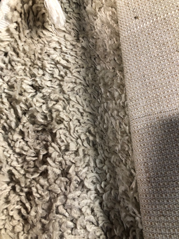 Photo 1 of 2x6 rug 