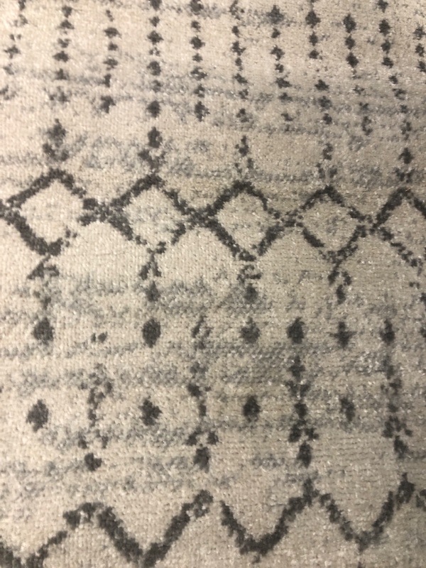 Photo 1 of Area Rug 2 x 8