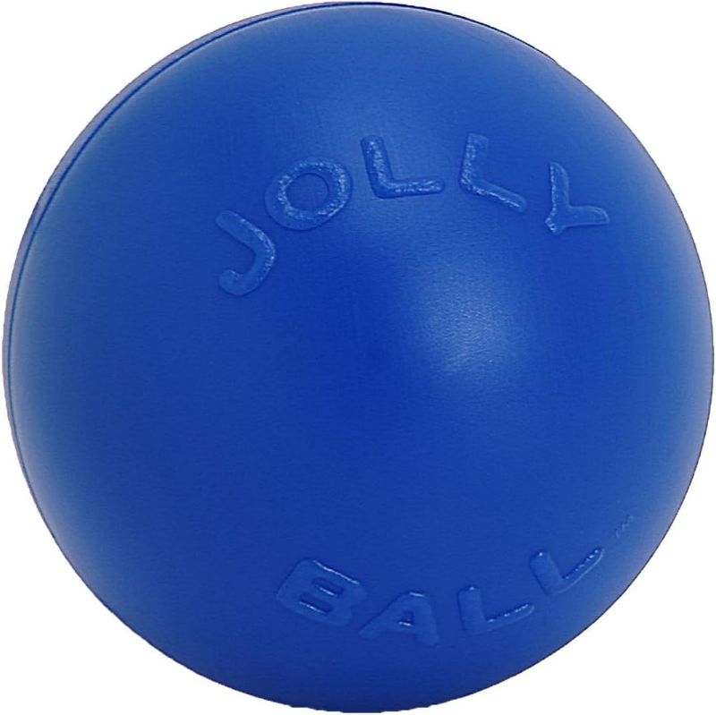 Photo 1 of 
Jolly Pets Push-n-Play Ball Dog Toy, 14 Inches/Extra-Large, Blue (314 BL), for All Breed Sizes