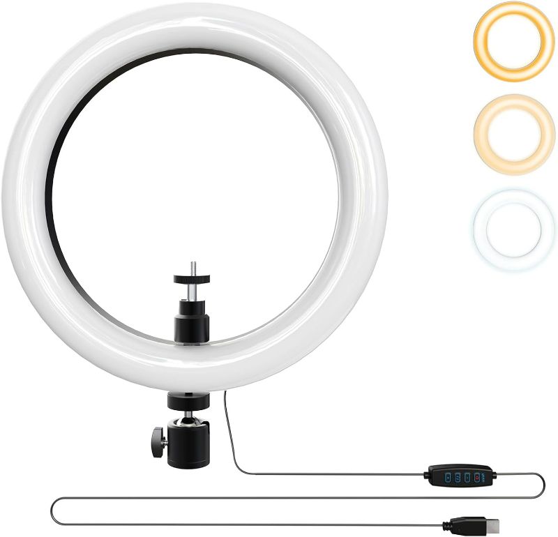 Photo 1 of 
10'' Ring Light Replacement Parts, 10W/5V/2A Ring Light with USB Port, Dimmable Ring Light with 2 Universal Ball Heads, The Part of LUOLED