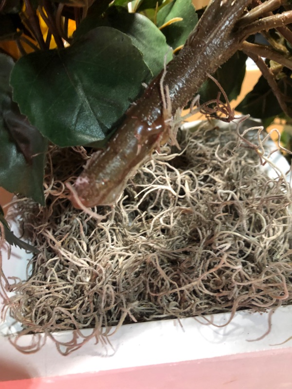 Photo 3 of ***DAMAGED - PLANT BROKEN OFF FROM POT - SEE PICTURES***
Hibiscus Artificial Plant in White Tower Planter, Yellow