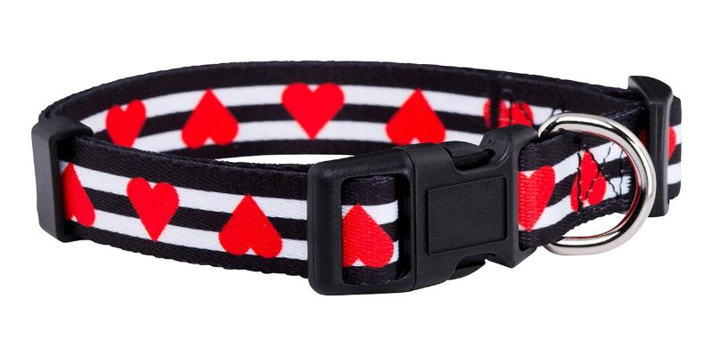 Photo 1 of **BUNDLE**No Returns**(2 packs) Native Pup Valentine's Day Heart Dog Collar