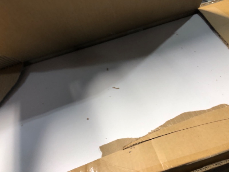 Photo 1 of Max & Lily Twin over Twin L-Shaped Bunk Bed, Mid-Century Modern Bunk Solid Wood Bunk for Kids, Strong Wood Slat Support, No Box Spring Needed, White/Pecan Twin over Twin White/Pecan