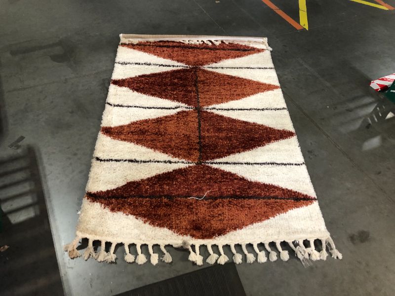 Photo 4 of ***USED - DIRTY - NO PACKAGING***
nuLOOM Kali Shaggy Diamond Tassel Area Rug, 4' x 6', Rust 4' x 6' Rust