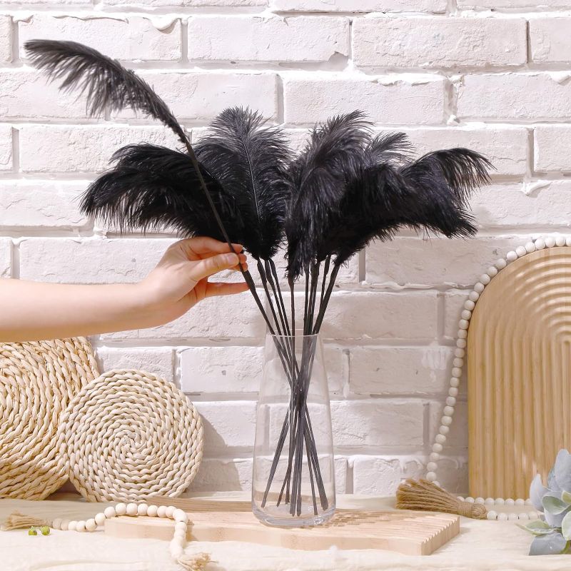 Photo 1 of 8 Piece Ostrich Feathers Bulk Large Boho Feathers for Vase with 80 Pcs Iron Wire and 1 Tape, Long Feathers for Vase Flower Arrangement Wedding Party Centerpieces and Home Decorations (Black)