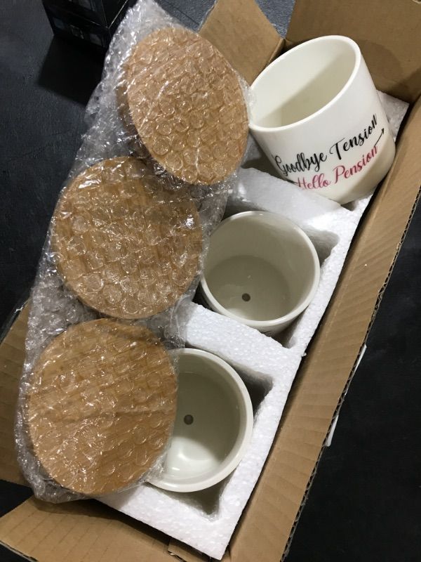 Photo 1 of Retirement Succulent Pots, 3.15 inch Ceramic Flower Plant Pots with Bamboo Tray, Cute Cactus Planters with Drainage Hole, Birthday Gifts for Women, Plant Lover Gifts, Pack of 3 - Plants Not Included