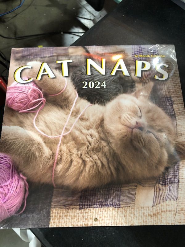 Photo 2 of 2024 Cat Naps Hangable Wall Calendar - 12" x 12" - Cute Sleeping Kitty Cats Photo Gift for Her Secret Santa - Sturdy Thick Beautiful Kitten Photography Kittens - 16 Months - Large Full Page for