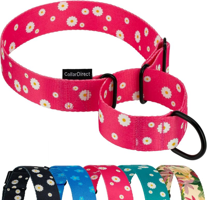 Photo 1 of **TWO PACK**CollarDirect Martingale Collars for Dogs Heavy Duty Floral Pattern Female Safety Nylon Training Wide Collar Flower Design Large Medium (M, Neck Size 12"-17", Pink) 12-17 Inch Pink Daisies B09YHHQ472