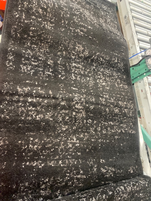 Photo 1 of Arlena Distressed Persian Medallion Black 3 ft. x 12 ft. Runner Rug