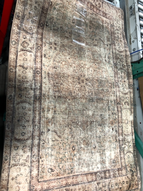 Photo 2 of Spring Valley Home Robbie ROB-01 Area Rug 2"-3"X3'-9"