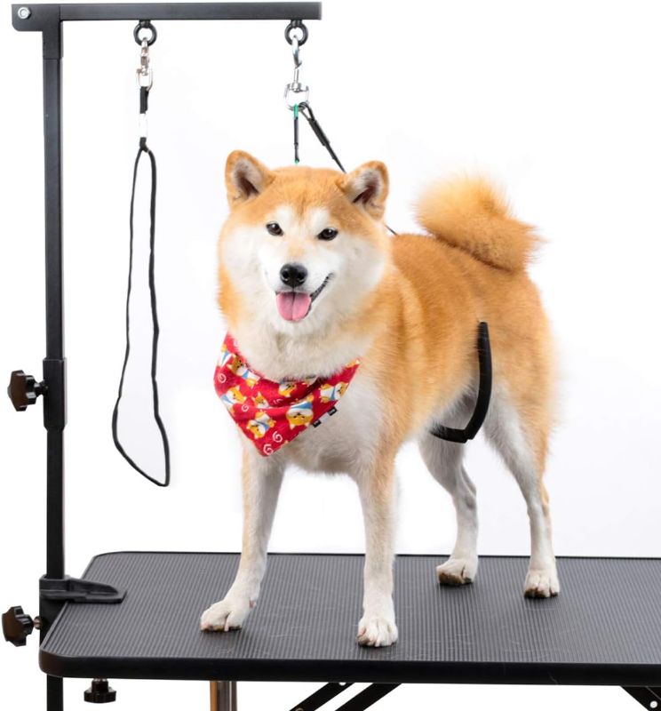 Photo 1 of Breeze Touch Dog Grooming Arm - 35" Dog Grooming Table Arm with Clamp and Post, Loop Noose, No Sit Haunch Holder Grooming Restraint for Small & Medium Dogs
