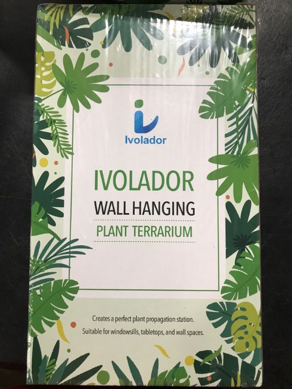 Photo 2 of Ivolador Wall Mounted Hanging Planter Test Tube Flower Bud Vase  5.5"L x 4.3"W x 7.9"H
