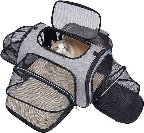Photo 1 of Siivton 4 Way Expandable Pet Carrier, Airline Approved Collapsible Cat Soft-Sided Carriers W/Removable Fleece Pad for Cats, Puppy, Small Dogs (18"x 11"x 11")