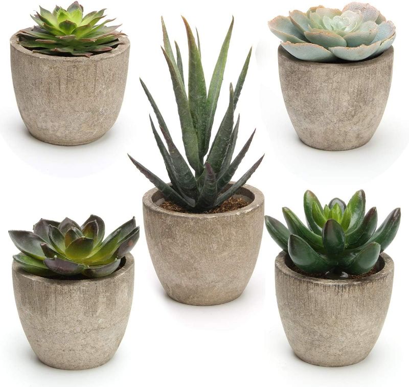 Photo 1 of Coitak Artificial Succulent Plants Potted, Assorted Decorative Faux Succulent Potted Fake Cactus Cacti Plants with Pots, Set of 5 