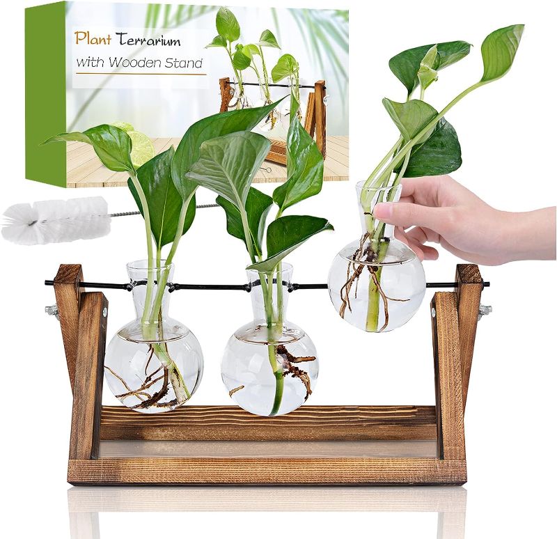 Photo 1 of Plant Propagation Station, Plant Terrarium with Wooden Stand, Unique Gardening Birthday for Women Plant Lovers, Home Office Garden Decor Planter - 3 Bulb Glass Vases
