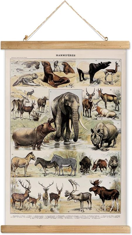 Photo 1 of 2 PACK! XIAOAIKA Vintage Illustrated Wildlife Chart with Wooden Frame -Classic Mammals of the World Poster - Educational Animal Wall Art for Schools, Homes, and Offices 12 x 16 Inches
