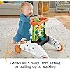 Photo 1 of Fisher-Price Baby & Toddler Toy 2-Sided Steady Speed Panda Walker with Smart Stages Learning & Blocks for Ages 6+ Months