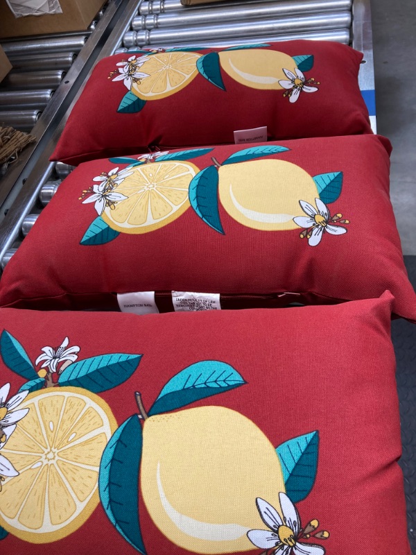 Photo 3 of 3 Hampton Bay Indoor/Outdoor Lumbar Pillows LEMON NEW