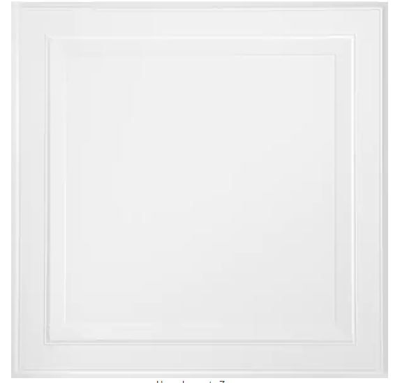 Photo 1 of 24 in. x 24 in. Tegular Single Raised Ceiling Tile (24 sq ft./case)
