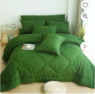 Photo 1 of HIG 8 PCS Modern Comforter Set with Sheets All Season Bed in a Bag, Green, King Size