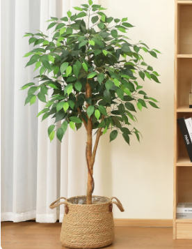 Photo 1 of 4FT Tall Artificial Ficus Tree with Natural Wood Trunk and Lifelike Leaves, Artificial Greenery for Indoor Outdoor Living Room Home Decor, DR.Planzen, 8 lb