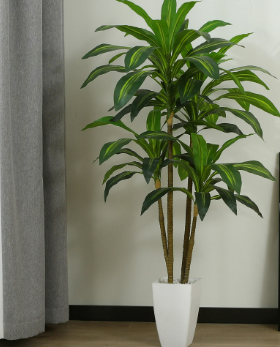 Photo 1 of 4FT Artificial Dracaena Tree with 9'' White Taper Planter, Faux Dracaena Plants for Realistic Natural Home Decor. 6 lb. DR.Planzen.