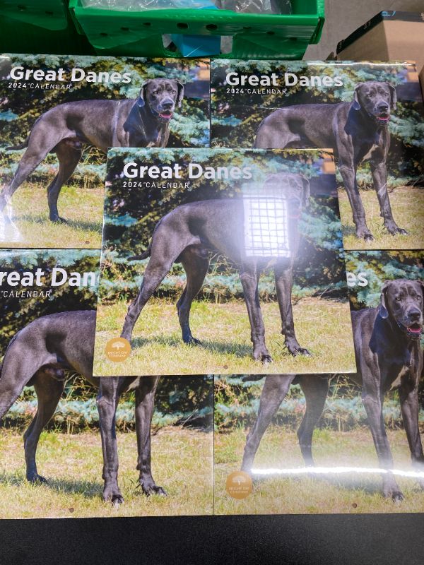 Photo 2 of 2024 Great Danes Monthly Wall Calendar by Bright Day, 12 x 12 Inch Cute Dog Breed Gift
5 pack bundle