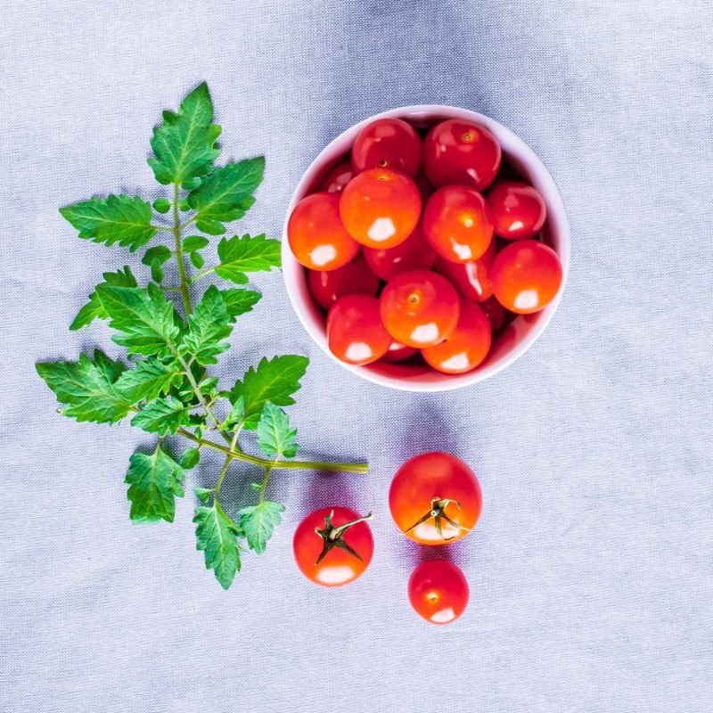 Photo 1 of AeroGarden Red Heirloom Cherry Tomato Seed Pod Kit
