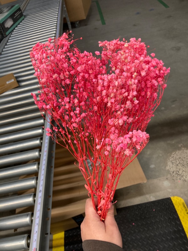 Photo 1 of Dried Babys Breath Flowers Bouquet Ivory Pink Dry Flowers, Natural Gypsophila Branches for Wedding, Table Vase Decor, DIY Wreath Floral, Home Office Party Garden Decoration 
